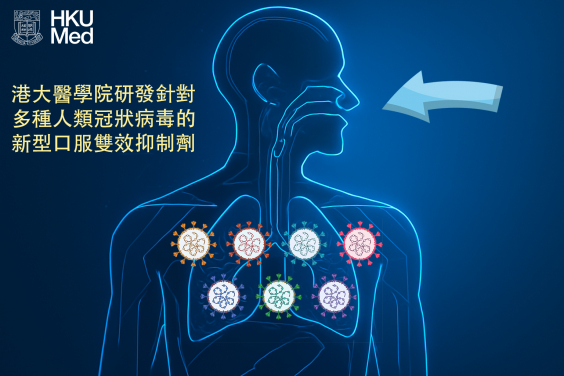 新型雙效抑制劑TMP1對多種人類致病性冠狀病毒，包括高致病性新冠病毒、沙士病毒及中東呼吸綜合症冠狀病毒，均具廣譜抗病毒效力。
 